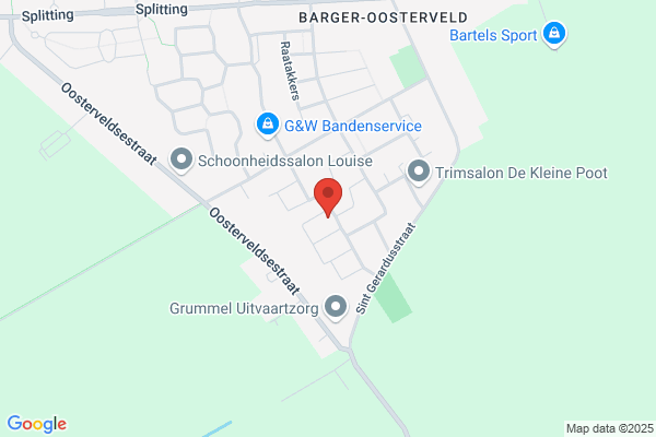 L Smit Oefentherapie Cesar