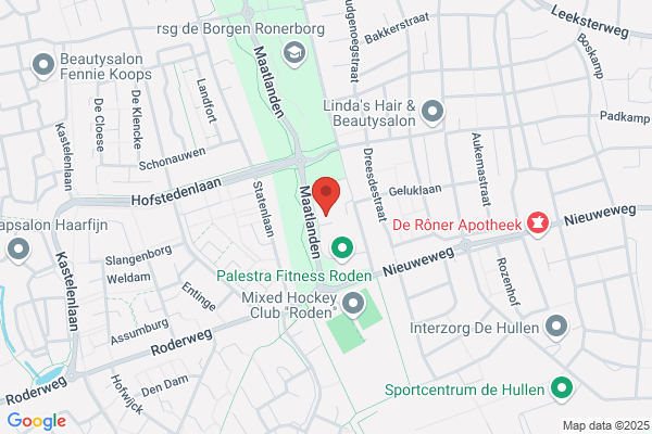 Vlieger, De
