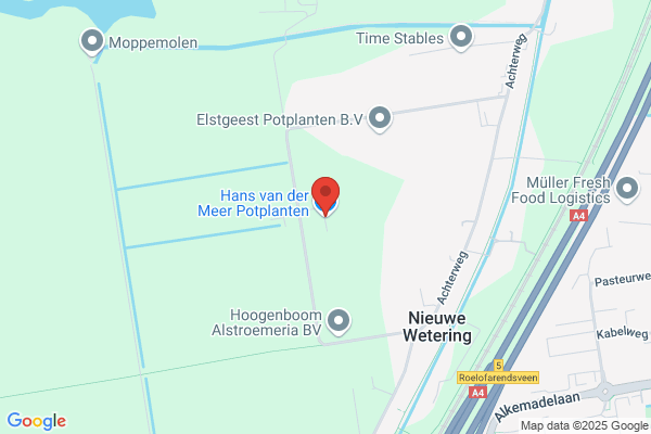 Gebr. W. & E. Ammerlaan