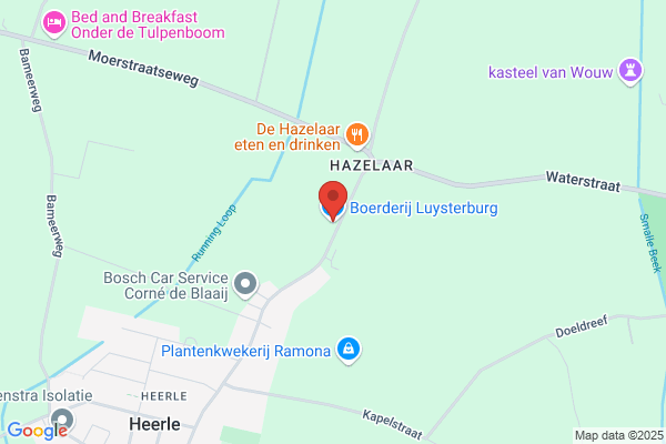 Luijsterburg, J P