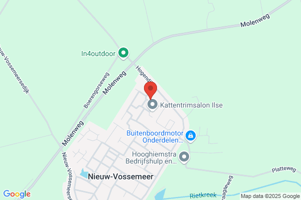 Straatmakersbedrijf F C Adriaansen