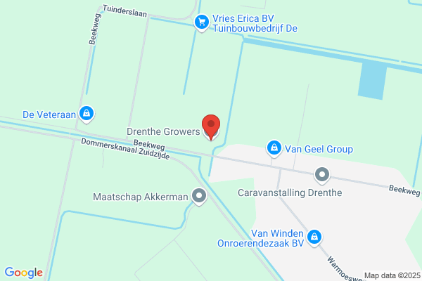 Praktijkonderzoek Plant & Omgeving