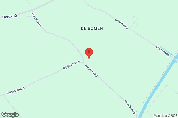 Groot, Tom