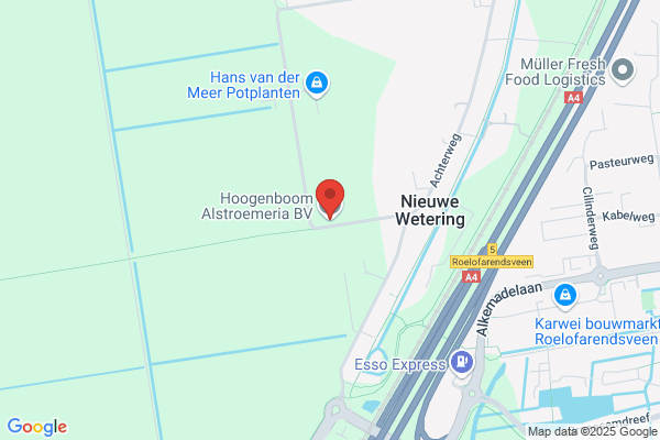Coen Hoogenboom Blumengrosshandel
