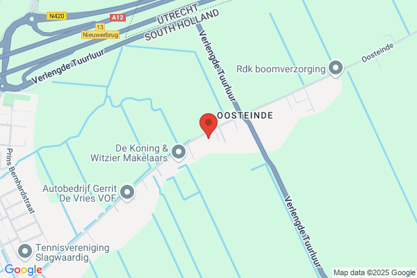 Hoogendoorn, A