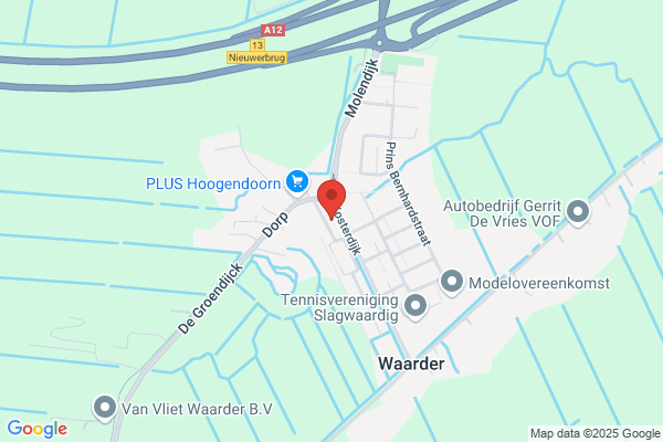 Raad Wiericke Cv