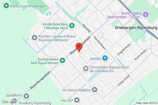 Zin & Beeld