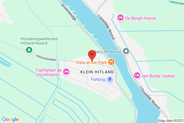 seo specialist & expert