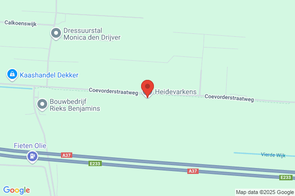 Meulenwieke