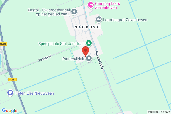 E Van Der Meer
