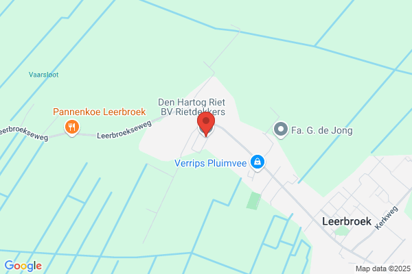 Den Hartog Riet BV Rietdekkers