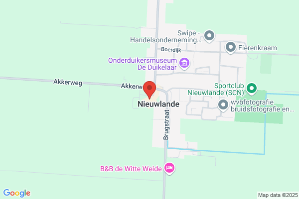Driesprong