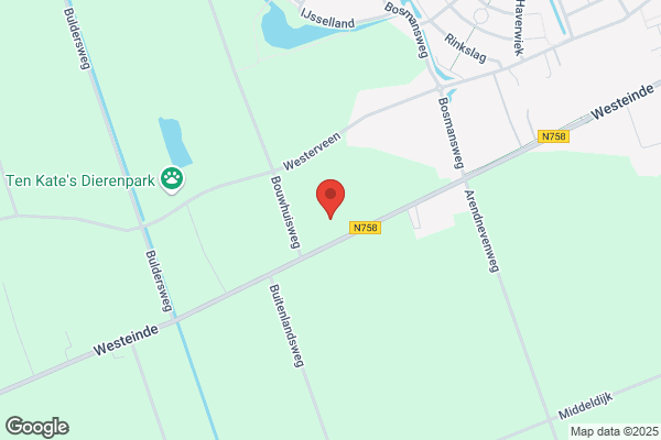 Koers