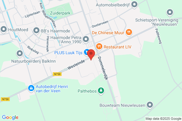 Witte Peerd Nieuwleusen, 't