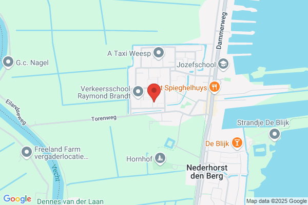 Hooijer T