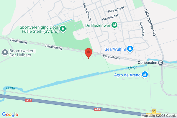 Willemsen & Zn, P