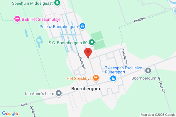 Haarstijl Femmy