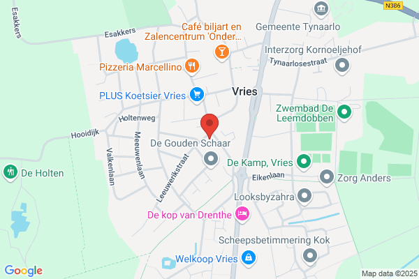 Laurens de Vries