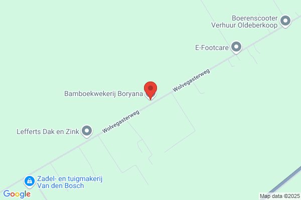 Bamboe Kwekerij Boryana