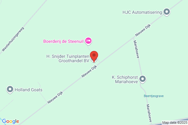 Kwekerij En Groothandel In Potplanten H. Van dijk