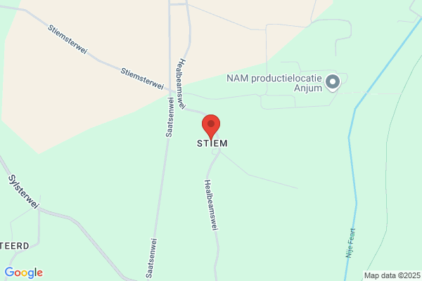 Boer-Jongsma, N De
