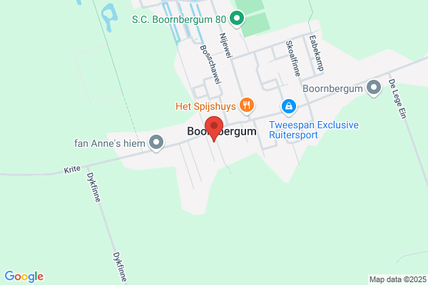 Rietdekkersbedrijf Van Veen