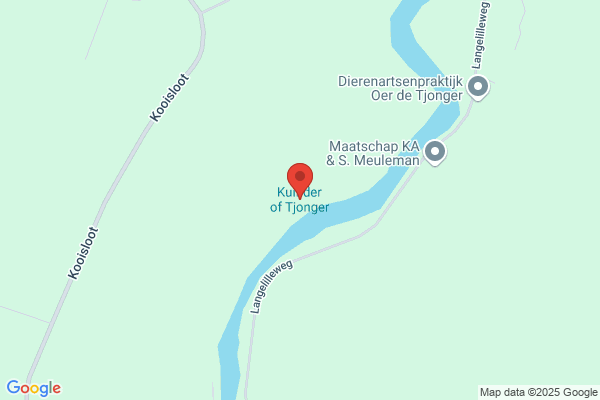 Tjonger