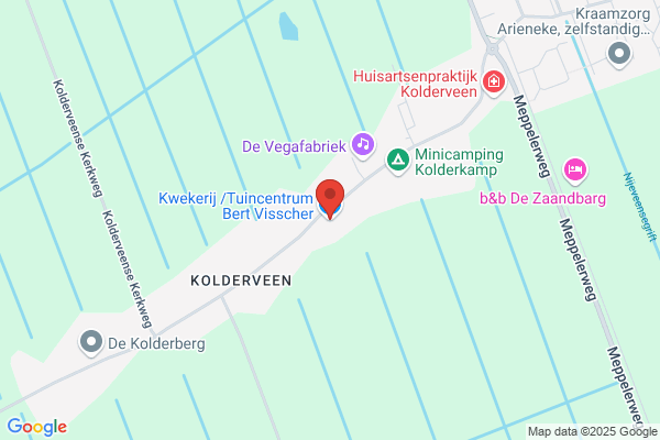 Nijeveense Bloemenhandel