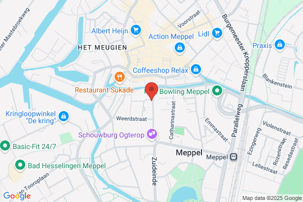 Pristella Riddlei Meppel, Aquariumver