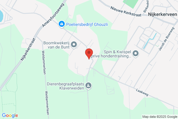 Corné de Vries Tuinaanleg & Onderhoud