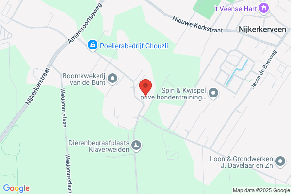 N.A. Van Den Brom