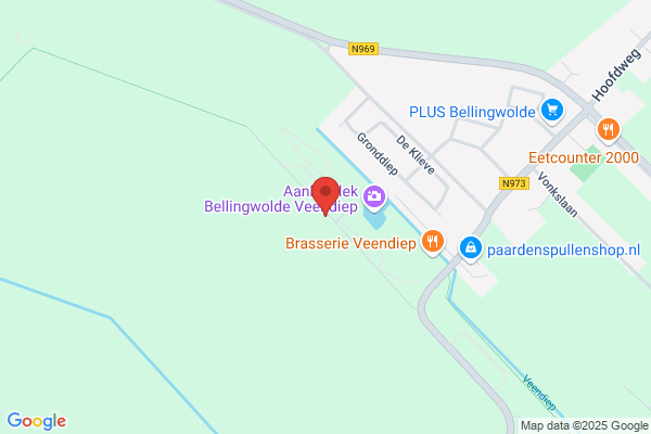 De Bron
