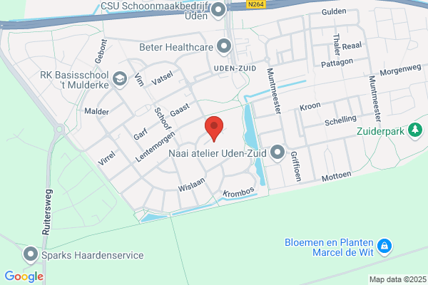 Visieon, Het