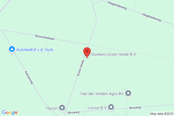 Patrick Duits Varkenshandel