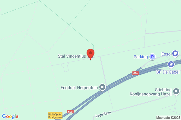 Lippizanerfokkerij Fam Ladan