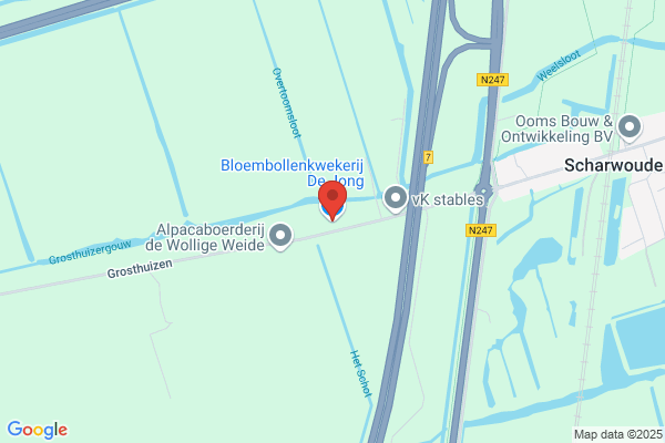 Jonge, De
