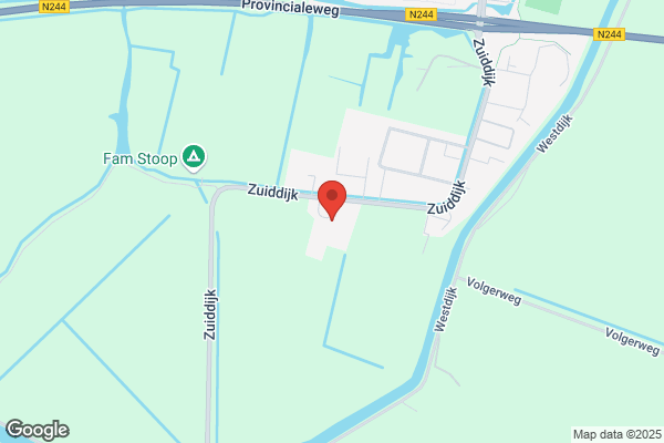 Poel BV Bloembollen