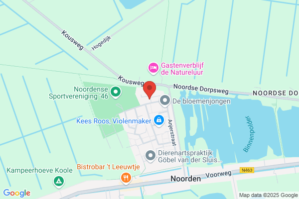 Fysiotherapie En Revalidatie Voor Dieren