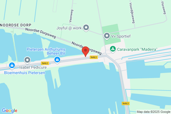 Jong, De