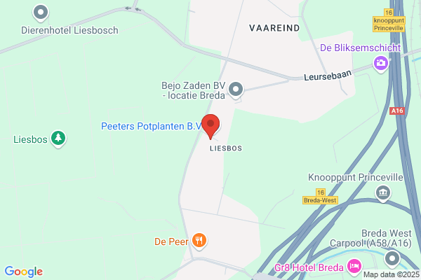 Ruijsenaars