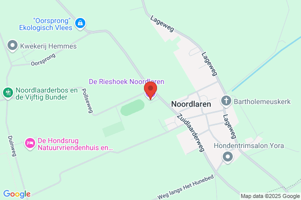 Rieshoek, De