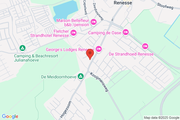 Bona Fide Bv