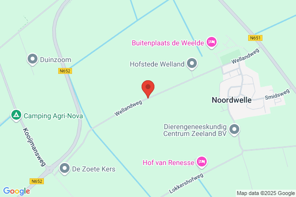 Zuiderlicht Bv
