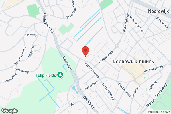 Amplitude Praktijk voor Natuurgeneeskunde