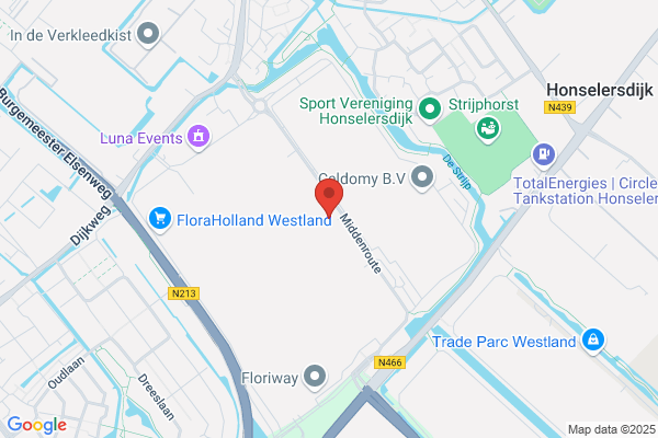 H.P. Van Nieuwkerk Export Bv