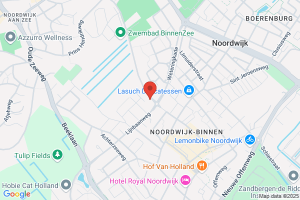 Arkesteijn Interim Management Bv