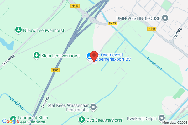 Damen - Oosthout