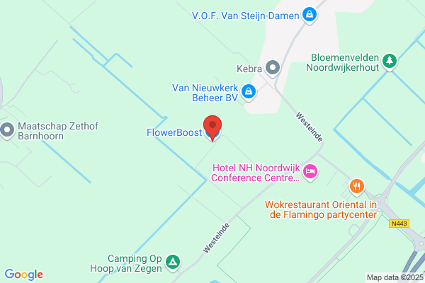 Fa Aad Van Ruiten