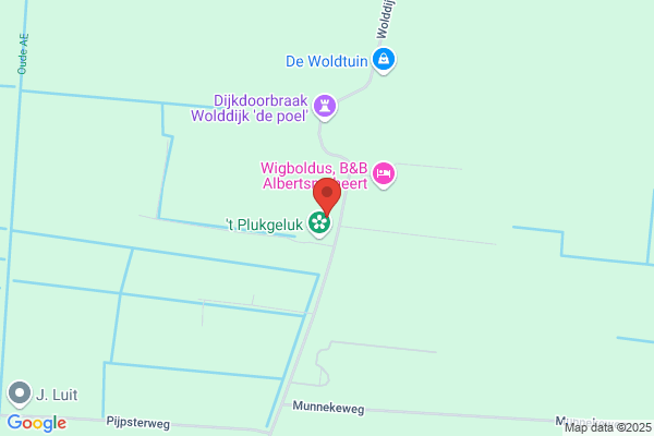 Bedum, Praktijk
