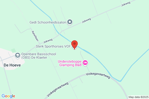 Sterk Advies Bv